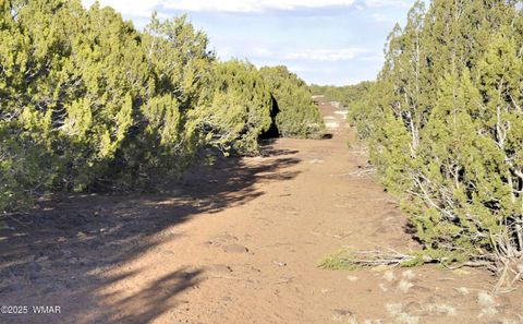Tiny photo for 11D Lodge Pole Rd, Show Low, AZ 85901 (MLS # 258823)