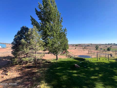 Tiny photo for 205 W F-Bar Lane, Snowflake, AZ 85937 (MLS # 261252)