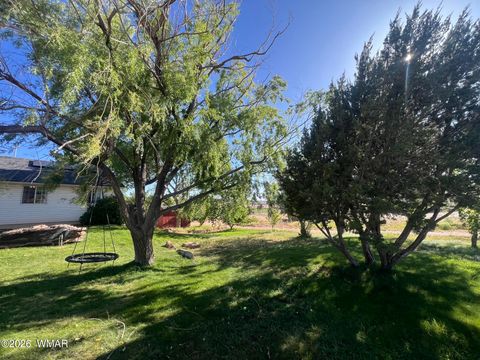 Tiny photo for 205 W F-Bar Lane, Snowflake, AZ 85937 (MLS # 261252)