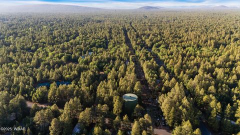 Tiny photo for 5468 Apache Trail, Pinetop, AZ 85935 (MLS # 256574)