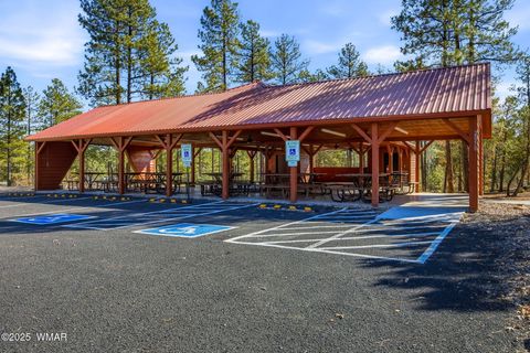 Tiny photo for 4340 S Mogollon Trail, Show Low, AZ 85901 (MLS # 258604)