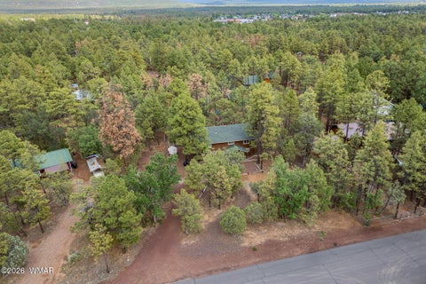 Tiny photo for 6139 White Pine Drive, Lakeside, AZ 85929 (MLS # 261821)