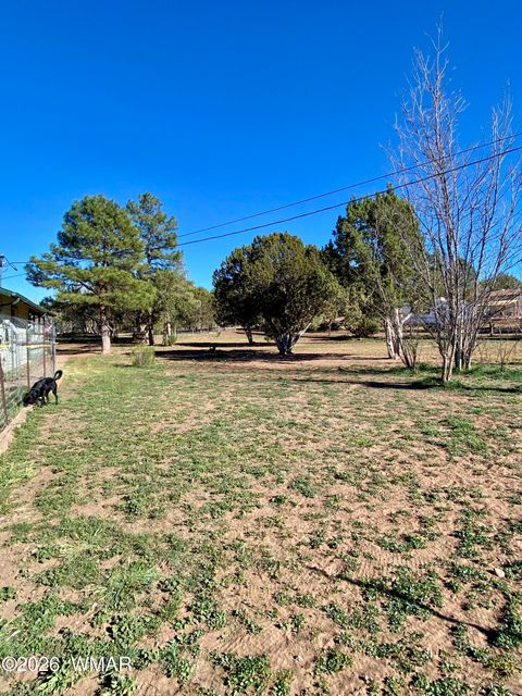 Tiny photo for 1107 Cochran Lane, Show Low, AZ 85901 (MLS # 259180)
