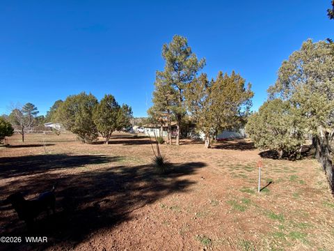 Tiny photo for 1107 Cochran Lane, Show Low, AZ 85901 (MLS # 259180)