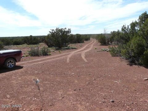 Tiny photo for 5929 Hertz Drive, Heber, AZ 85928 (MLS # 258446)