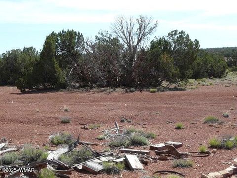 Tiny photo for 5929 Hertz Drive, Heber, AZ 85928 (MLS # 258446)