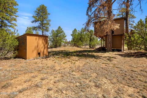 Tiny photo for 2939 Paint Pony Lane, Overgaard, AZ 85933 (MLS # 261513)