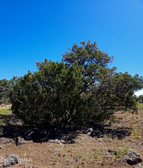 Photo of 8411 Javelina Drive, Show Low, AZ 85901 (MLS # 260610)