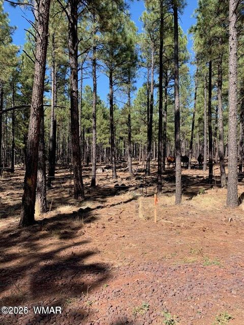 Tiny photo for tbd-2 dynamite, Lakeside, AZ 85929 (MLS # 259192)