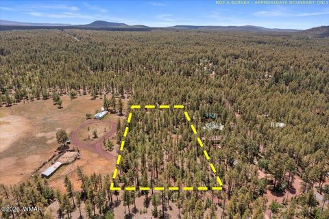 Photo of TBD S Hill Drive, Pinetop, AZ 85935 (MLS # 261934)