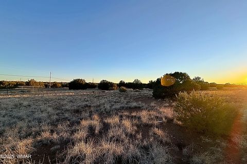 Tiny photo for 1930 Silver Lake Boulevard, Show Low, AZ 85901 (MLS # 258257)