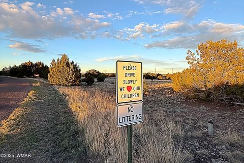 Tiny photo for 1930 Silver Lake Boulevard, Show Low, AZ 85901 (MLS # 258257)