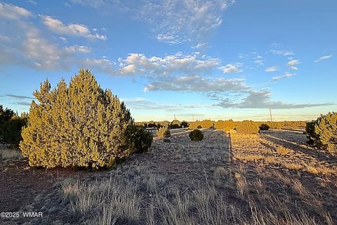 Tiny photo for 1930 Silver Lake Boulevard, Show Low, AZ 85901 (MLS # 258257)