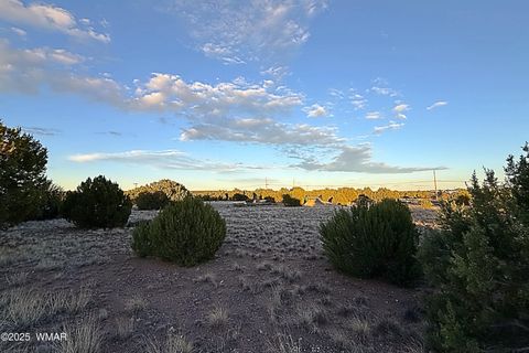 Tiny photo for 1930 Silver Lake Boulevard, Show Low, AZ 85901 (MLS # 258257)