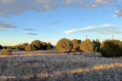 Tiny photo for 1930 Silver Lake Boulevard, Show Low, AZ 85901 (MLS # 258257)