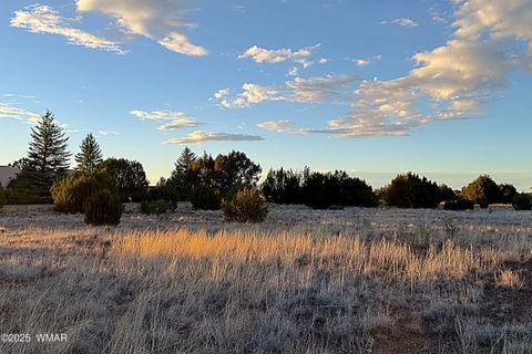 Photo of 1930 Silver Lake Boulevard, Show Low, AZ 85901 (MLS # 258257)