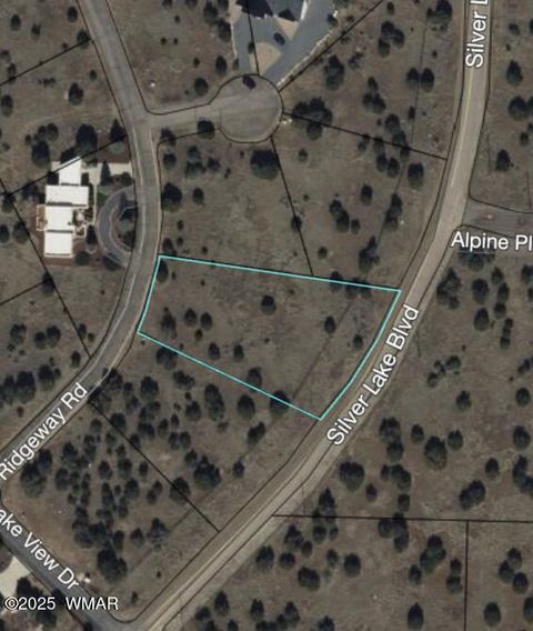 Tiny photo for 1930 Silver Lake Boulevard, Show Low, AZ 85901 (MLS # 258257)
