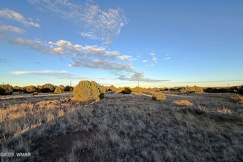Tiny photo for 1930 Silver Lake Boulevard, Show Low, AZ 85901 (MLS # 258257)