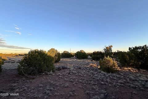 Tiny photo for 1930 Silver Lake Boulevard, Show Low, AZ 85901 (MLS # 258257)