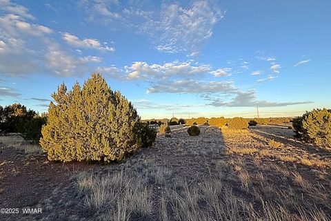 Tiny photo for 1930 Silver Lake Boulevard, Show Low, AZ 85901 (MLS # 258257)