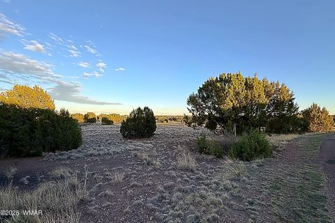 Tiny photo for 1930 Silver Lake Boulevard, Show Low, AZ 85901 (MLS # 258257)