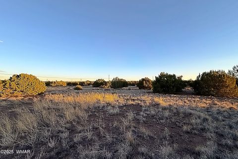 Tiny photo for 1930 Silver Lake Boulevard, Show Low, AZ 85901 (MLS # 258257)