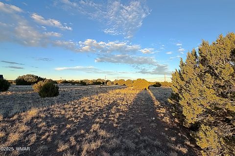 Tiny photo for 1930 Silver Lake Boulevard, Show Low, AZ 85901 (MLS # 258257)