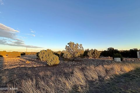 Tiny photo for 1930 Silver Lake Boulevard, Show Low, AZ 85901 (MLS # 258257)