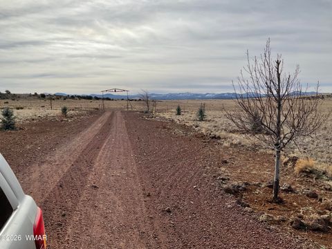 Tiny photo for TBD1 N 3373, Vernon, AZ 85940 (MLS # 259247)