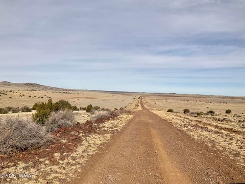 Tiny photo for TBD1 N 3373, Vernon, AZ 85940 (MLS # 259247)