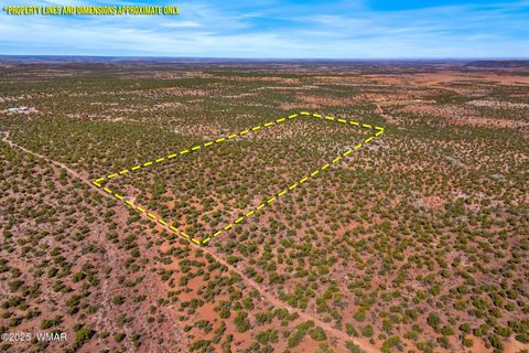 Photo of 9514 E Melody Lane, Show Low, AZ 85901 (MLS # 258476)