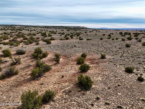 Tiny photo for 78 Sierrra Highlands Ranch, Saint Johns, AZ 85936 (MLS # 259214)