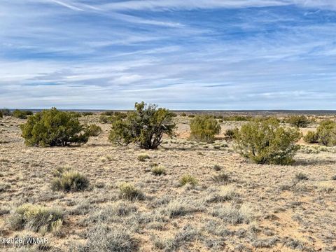 Tiny photo for 78 Sierrra Highlands Ranch, Saint Johns, AZ 85936 (MLS # 259214)