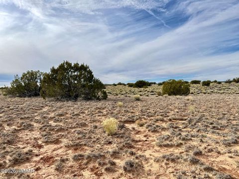 Tiny photo for 78 Sierrra Highlands Ranch, Saint Johns, AZ 85936 (MLS # 259214)