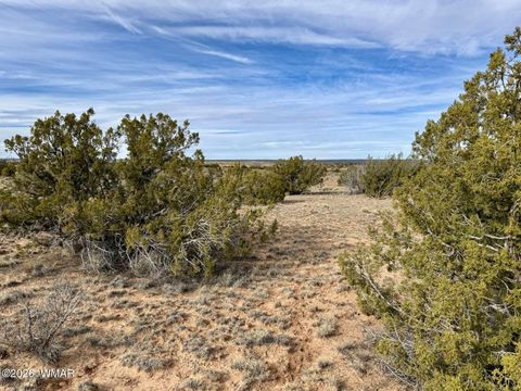 Tiny photo for 78 Sierrra Highlands Ranch, Saint Johns, AZ 85936 (MLS # 259214)