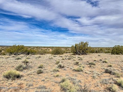 Tiny photo for 78 Sierrra Highlands Ranch, Saint Johns, AZ 85936 (MLS # 259214)