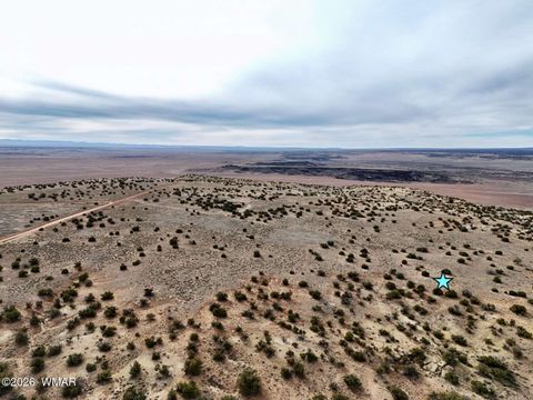 Tiny photo for 78 Sierrra Highlands Ranch, Saint Johns, AZ 85936 (MLS # 259214)