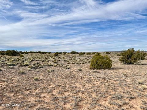 Tiny photo for 78 Sierrra Highlands Ranch, Saint Johns, AZ 85936 (MLS # 259214)