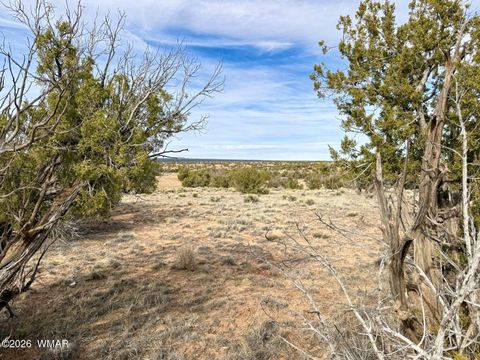 Tiny photo for 78 Sierrra Highlands Ranch, Saint Johns, AZ 85936 (MLS # 259214)