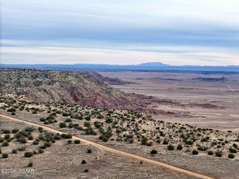 Tiny photo for 78 Sierrra Highlands Ranch, Saint Johns, AZ 85936 (MLS # 259214)