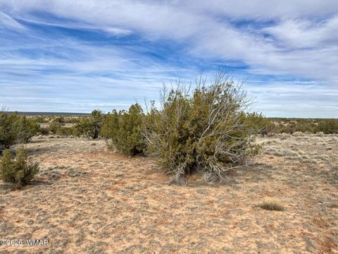 Tiny photo for 78 Sierrra Highlands Ranch, Saint Johns, AZ 85936 (MLS # 259214)