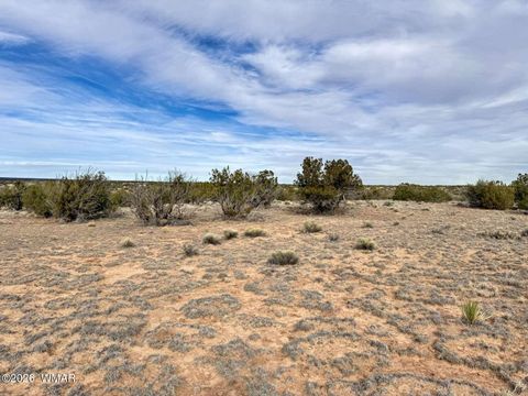 Tiny photo for 78 Sierrra Highlands Ranch, Saint Johns, AZ 85936 (MLS # 259214)