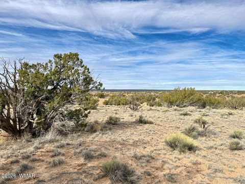 Tiny photo for 78 Sierrra Highlands Ranch, Saint Johns, AZ 85936 (MLS # 259214)