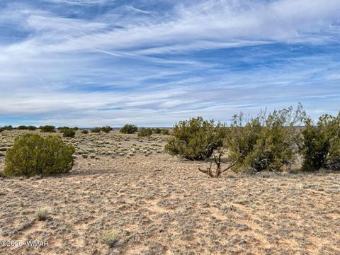 Tiny photo for 78 Sierrra Highlands Ranch, Saint Johns, AZ 85936 (MLS # 259214)