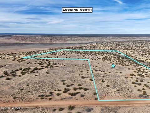 Photo of 78 Sierrra Highlands Ranch, Saint Johns, AZ 85936 (MLS # 259214)