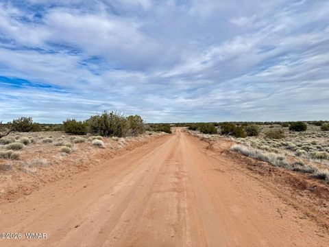 Tiny photo for 78 Sierrra Highlands Ranch, Saint Johns, AZ 85936 (MLS # 259214)