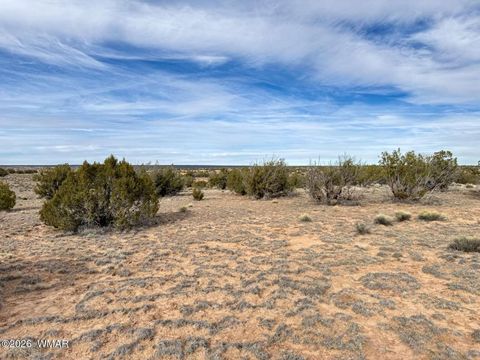 Tiny photo for 78 Sierrra Highlands Ranch, Saint Johns, AZ 85936 (MLS # 259214)