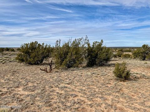 Tiny photo for 78 Sierrra Highlands Ranch, Saint Johns, AZ 85936 (MLS # 259214)