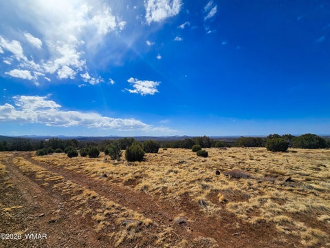 Photo of Lot 468 Show Low Pines Unit 3, Concho, AZ 85924 (MLS # 261755)