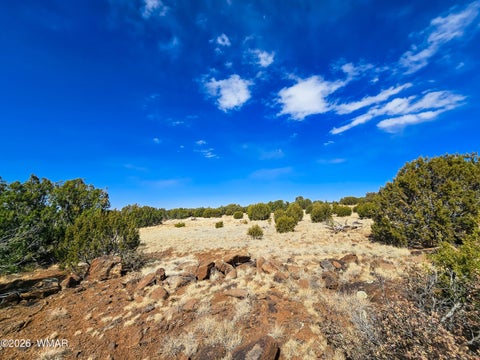 Tiny photo for Lot 468 Show Low Pines Unit 3, Concho, AZ 85924 (MLS # 261755)